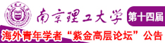 欧美搞大BB南京理工大学第十四届海外青年学者紫金论坛诚邀海内外英才！